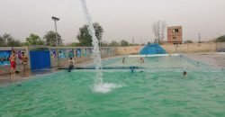 BARKI ROAD FARMHOUSE 142