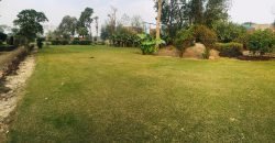 BARKI ROAD FARMHOUSE 142