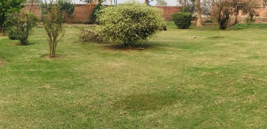 BARKI ROAD FARMHOUSE 142