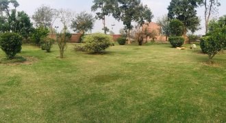 BARKI ROAD FARMHOUSE 142