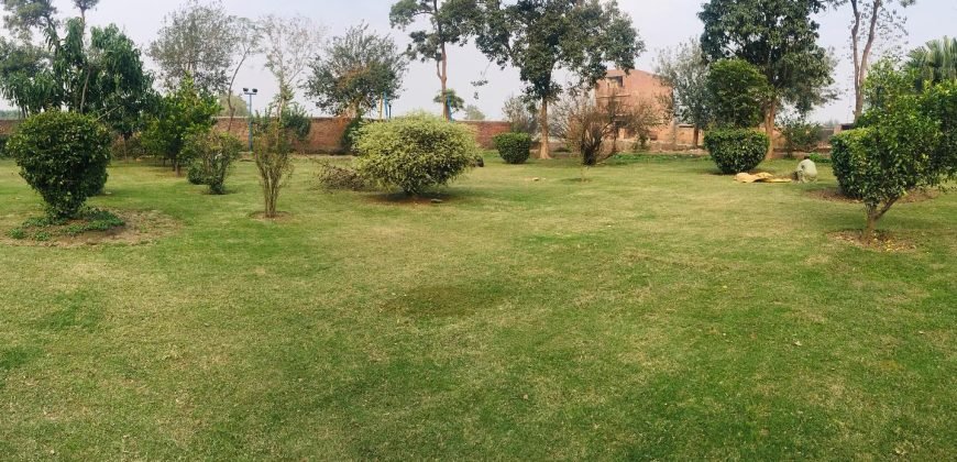 BARKI ROAD FARMHOUSE 142