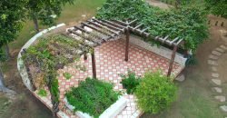 CANAL ROAD FARMHOUSE 133