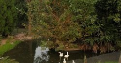 CANAL ROAD FARMHOUSE 133