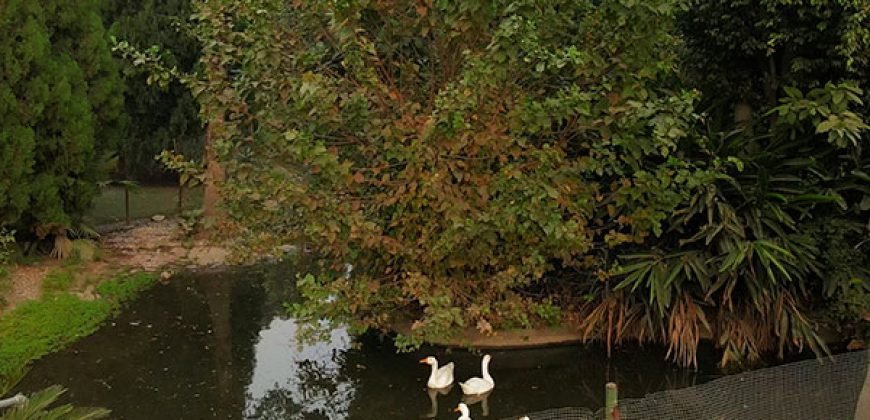 CANAL ROAD FARMHOUSE 133