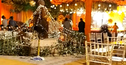 GULBERG FARMHOUSE 93