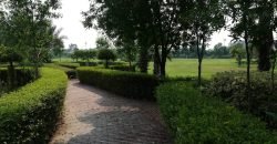 GREEN ACRE FARMHOUSE 38