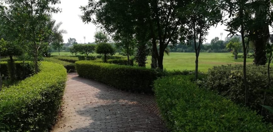 GREEN ACRE FARMHOUSE 38