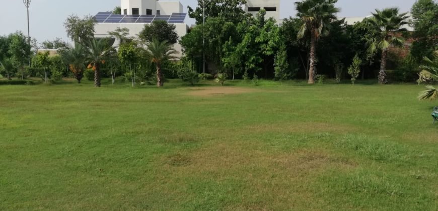 GREEN ACRE FARMHOUSE 38