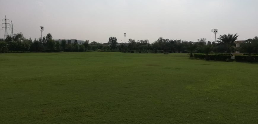 GREEN ACRE FARMHOUSE 38