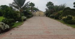 BARKI ROAD FARMHOUSE 83