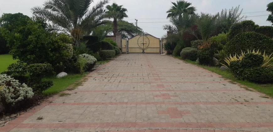 BARKI ROAD FARMHOUSE 83