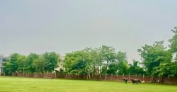 RAIWIND ROAD FARMHOUSE 204