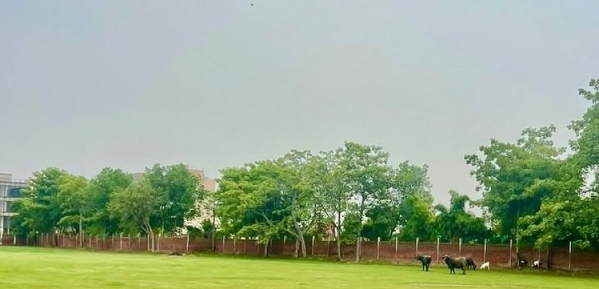 RAIWIND ROAD FARMHOUSE 204