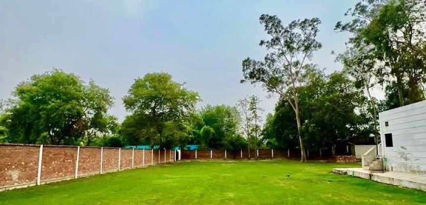 RAIWIND ROAD FARMHOUSE 204