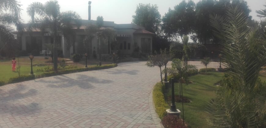 GREEN ACRE FARMHOUSE 16