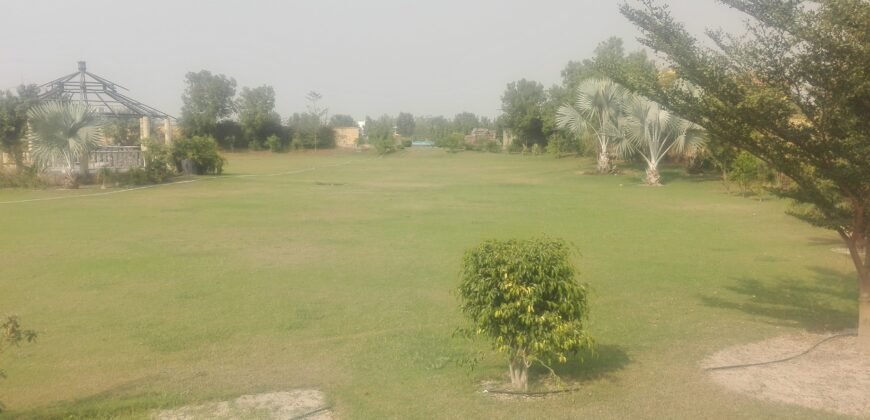 GREEN ACRE FARMHOUSE 16