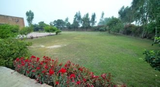 BEDIAN ROAD FARMHOUSE 08