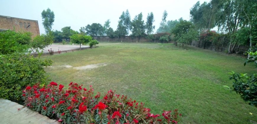 BEDIAN ROAD FARMHOUSE 08