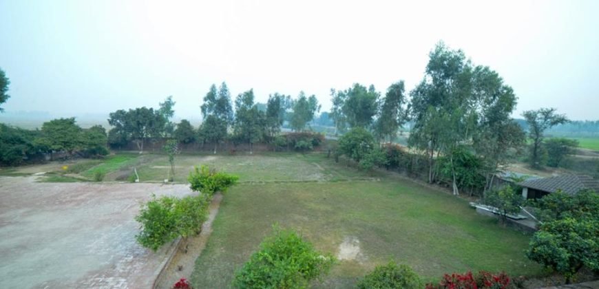 BEDIAN ROAD FARMHOUSE 08