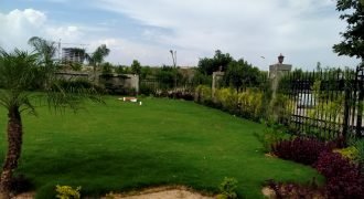 ISLAMABAD FARMHOUSE 231