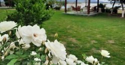 KANPUR ROAD FARMHOUSE 68