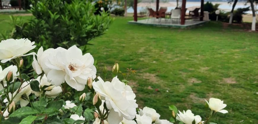 KANPUR ROAD FARMHOUSE 68