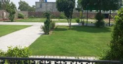 BARKI ROAD FARMHOUSE  210