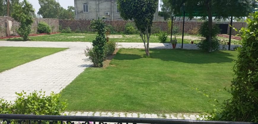 BARKI ROAD FARMHOUSE  210