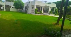 BARKI ROAD FARMHOUSE  210