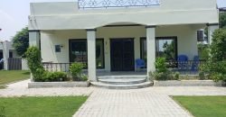 BARKI ROAD FARMHOUSE  210