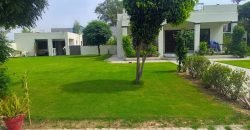 BARKI ROAD FARMHOUSE  210