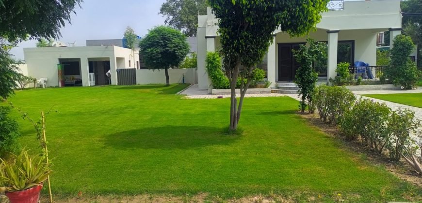 BARKI ROAD FARMHOUSE  210