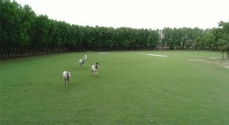 BEDIAN ROAD FARMHOUSE 186