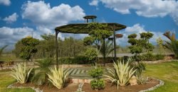 MULTAN ROAD FARMHOUSE 245