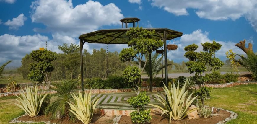 MULTAN ROAD FARMHOUSE 245