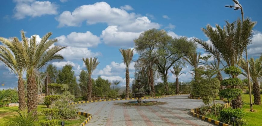 MULTAN ROAD FARMHOUSE 245