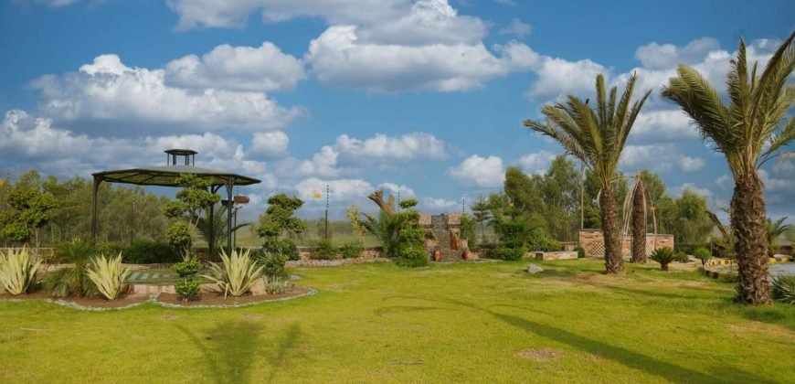 MULTAN ROAD FARMHOUSE 245