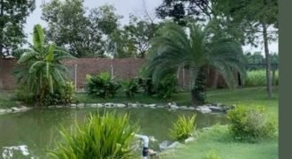 BEDIAN ROAD FARMHOUSE 233