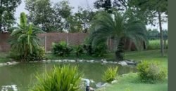 BEDIAN ROAD FARMHOUSE 233