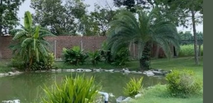 BEDIAN ROAD FARMHOUSE 233