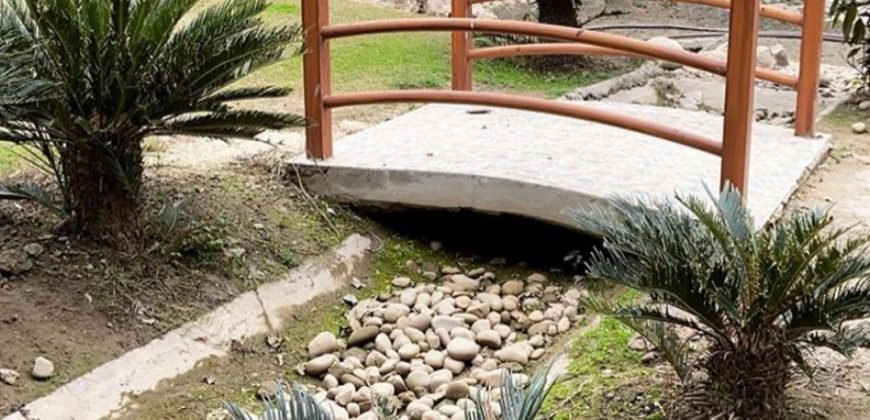 BEDIAN ROAD FARMHOUSE 233