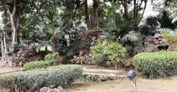 BEDIAN ROAD FARMHOUSE 233