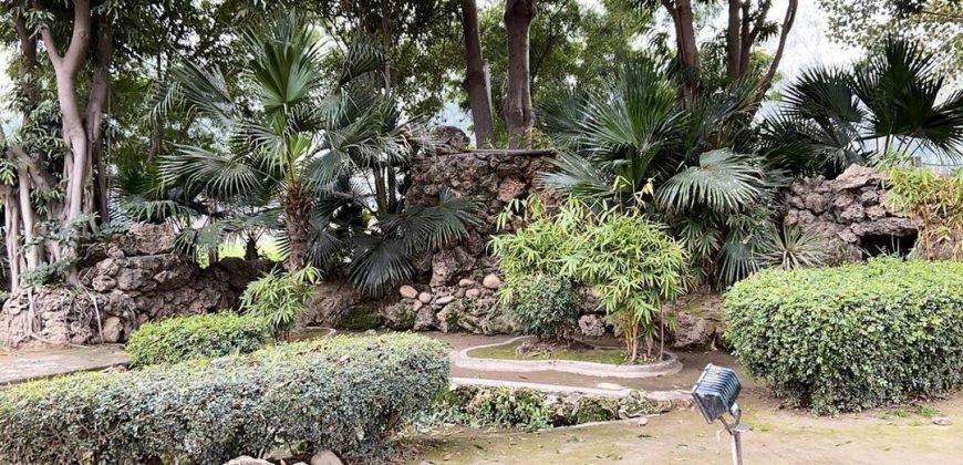 BEDIAN ROAD FARMHOUSE 233