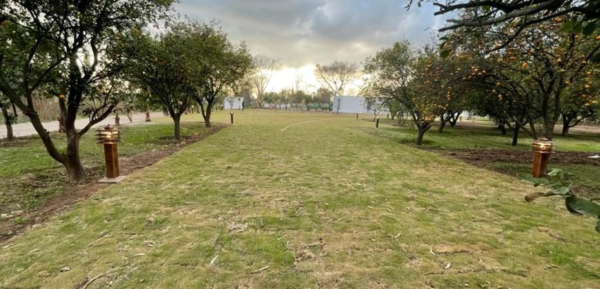 JAPAN ROAD  FARMHOUSE 141