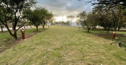 JAPAN ROAD  FARMHOUSE 141