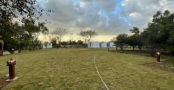 JAPAN ROAD  FARMHOUSE 141