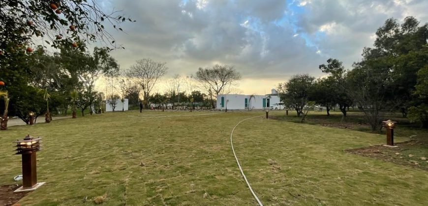 JAPAN ROAD  FARMHOUSE 141