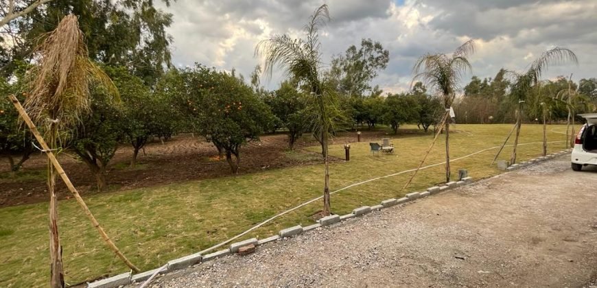 JAPAN ROAD  FARMHOUSE 141