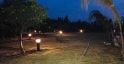 JAPAN ROAD  FARMHOUSE 141