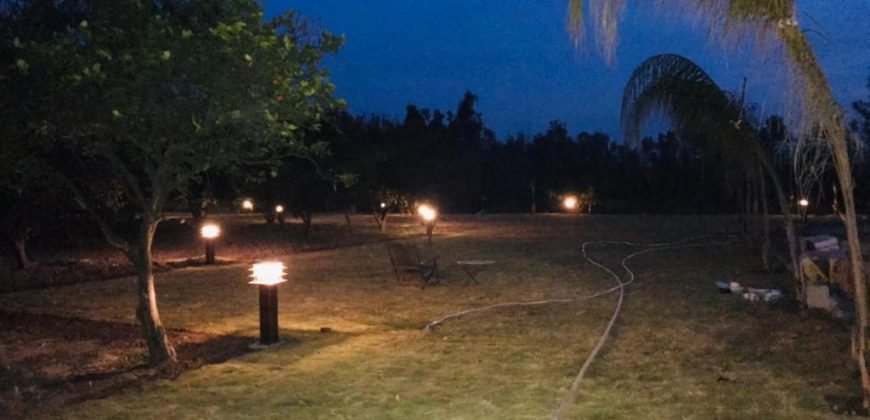 JAPAN ROAD  FARMHOUSE 141